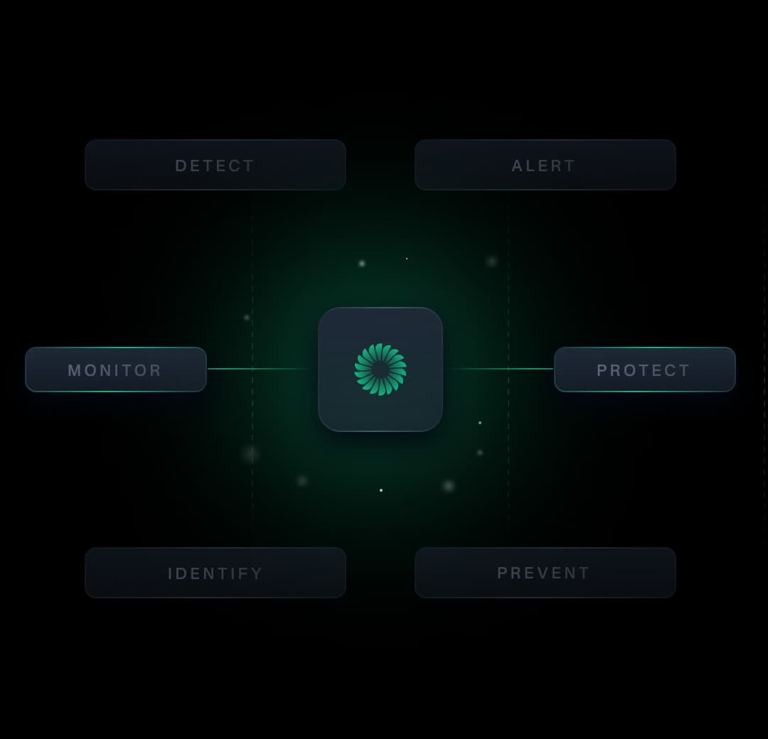 Finance fraud network detection
